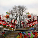 IMG_7702.jpg