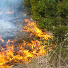 03042016_Waldbrand Alpeltal _5_.jpg