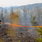 03042016_Waldbrand Alpeltal _6_.jpg