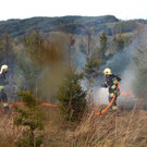 03042016_Waldbrand Alpeltal _7_.jpg