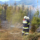 03042016_Waldbrand Alpeltal _8_.jpg