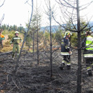 03042016_Waldbrand Alpeltal _11_.jpg