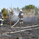 03042016_Waldbrand Alpeltal _13_.jpg