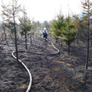 03042016_Waldbrand Alpeltal _14_.jpg