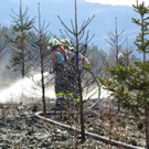 03042016_Waldbrand Alpeltal _17_.jpg