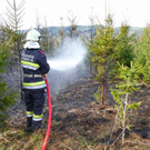 03042016_Waldbrand Alpeltal _19_.jpg