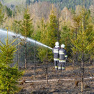 03042016_Waldbrand Alpeltal _22_.jpg