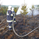 03042016_Waldbrand Alpeltal _23_.jpg