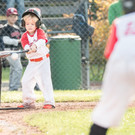 Bulls2014_10 _800x533_.jpg