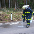 04042016_Schwerer VU_Forststrasse _10_.jpg