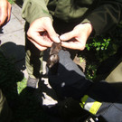 DSCF2207.JPG