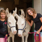 Wei___e Esel _c_ Jana Madzigon.jpg