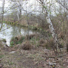 IMG_3720.JPG