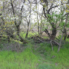 IMG_3731.JPG