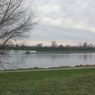 IMG_3732.JPG