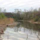 IMG_3741.JPG