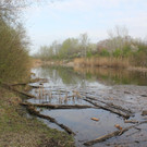 IMG_3745.JPG
