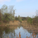 IMG_3752.JPG