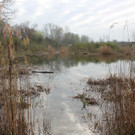 IMG_3756.JPG