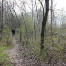 IMG_3764.JPG