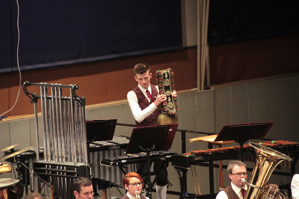 Musikverein Lochau Fr__hlingskonzert FOTO FETZ 2016 _23_.JPG