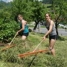DSC07612.JPG
