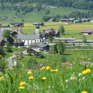 Kopie von Andelsbuch-Wiese 1.jpg