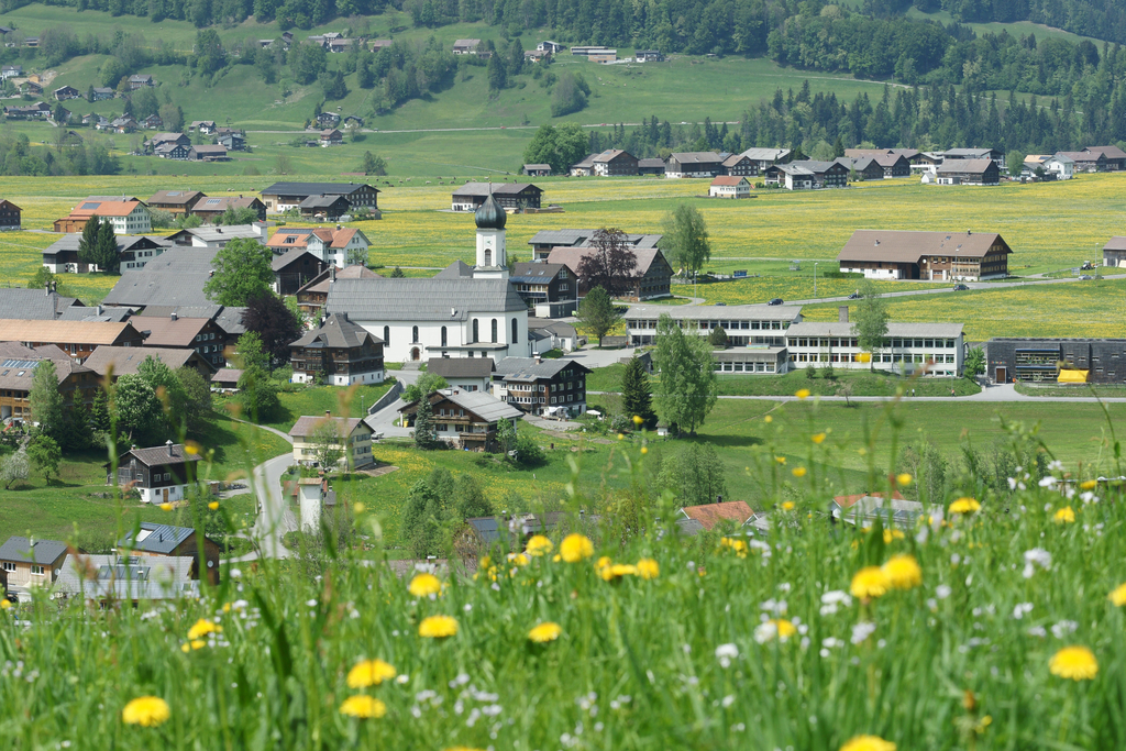 Kopie von Andelsbuch-Wiese 1.jpg