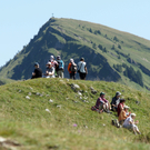 Niedere 1.jpg