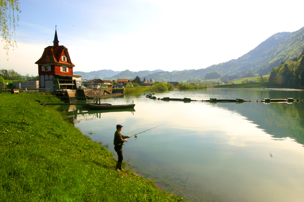 Stauseeangeln 2.jpg