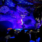 GOA FLUC-8.jpg