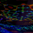 GOA FLUC-14.jpg