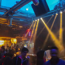 GOA FLUC-25.jpg