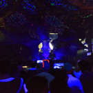 GOA FLUC-27.jpg