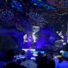 GOA FLUC-29.jpg