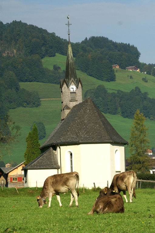 Martinskapelle 1.jpg