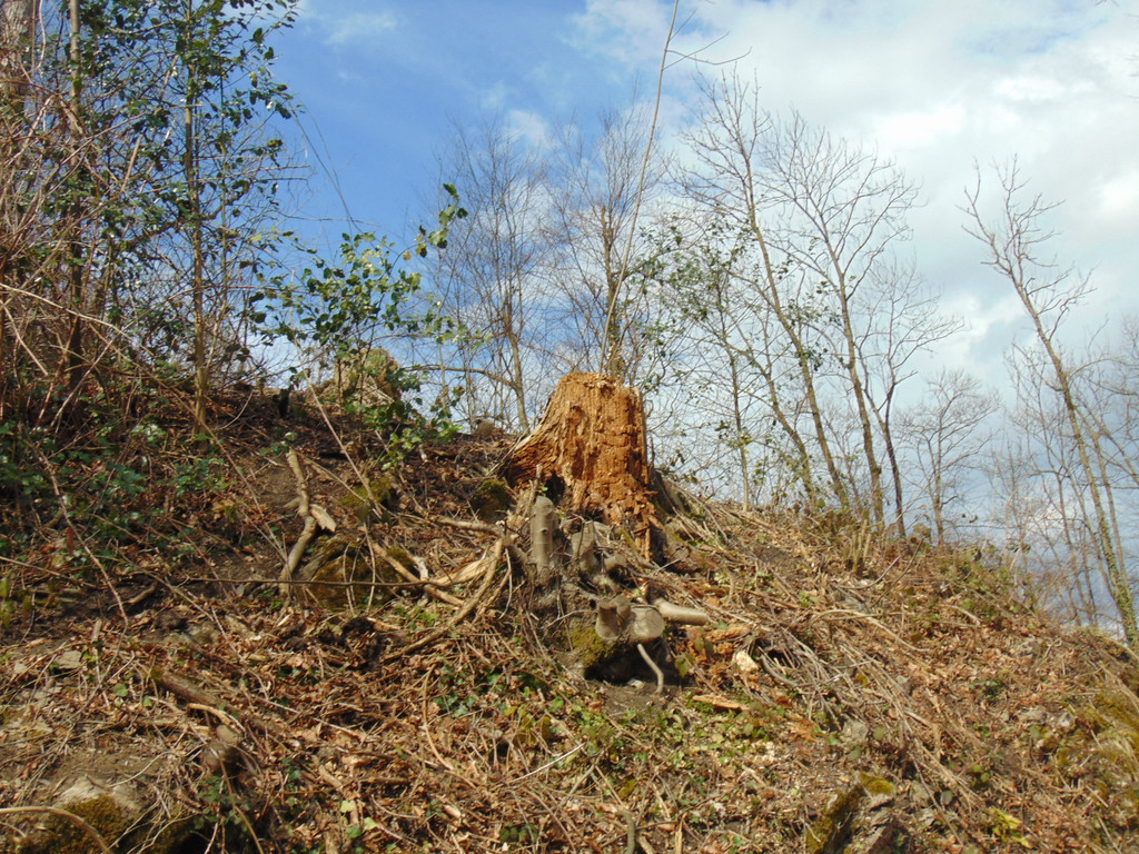 DSC02106.JPG