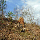 DSC02106.JPG