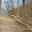 DSC02107.JPG