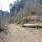DSC02109.JPG