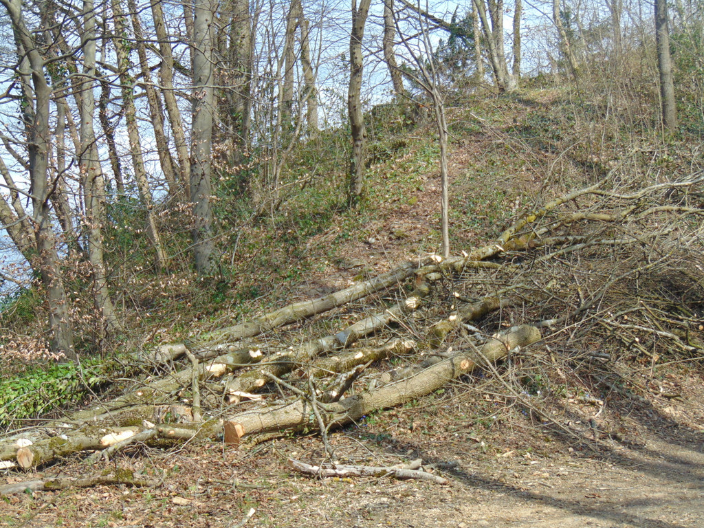 DSC02110.JPG