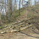 DSC02110.JPG