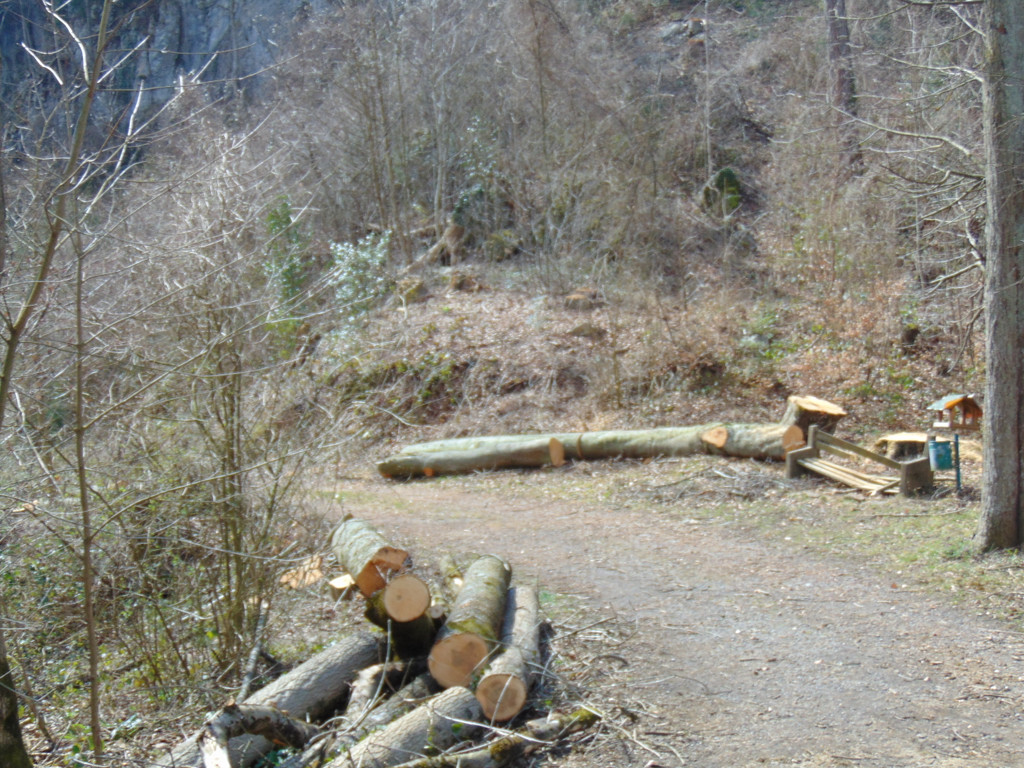 DSC02111.JPG