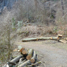 DSC02111.JPG