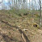 DSC02112.JPG