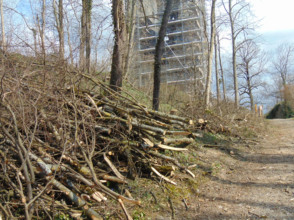 DSC02113.JPG