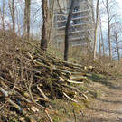 DSC02113.JPG