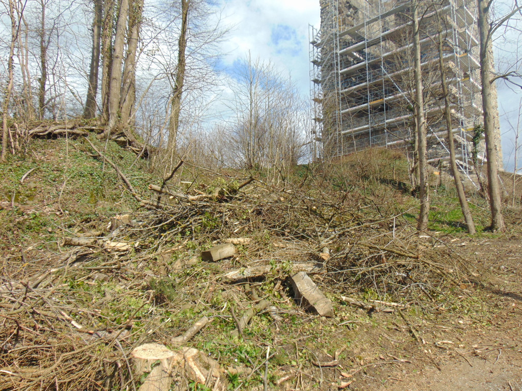 DSC02114.JPG