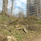 DSC02114.JPG