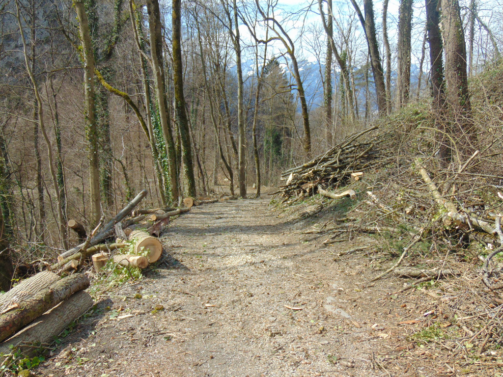 DSC02115.JPG
